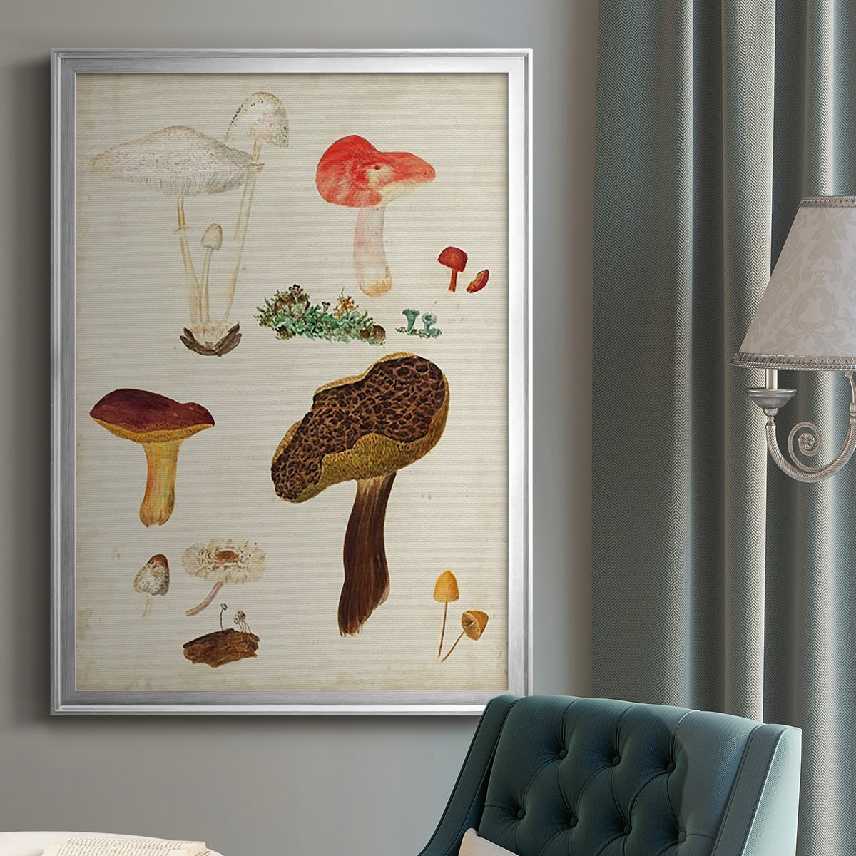 Mushroom Species XI - Modern Framed Canvas Print