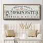 Pumpkin Patch II - Floater Framed Canvas Print