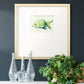 Speckled Freshwater Fish I Premium Framed Print Double Matboard