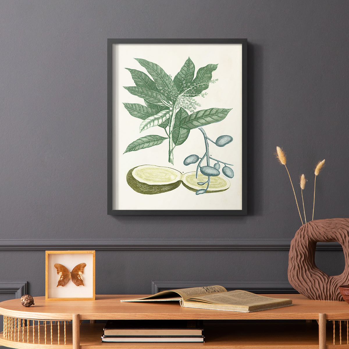Buchoz Tropicals IV - Restickable Framed Art Print