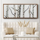 Birch Trees II - Floater Framed Canvas Print
