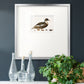 Golden Mallard Premium Framed Print Double Matboard