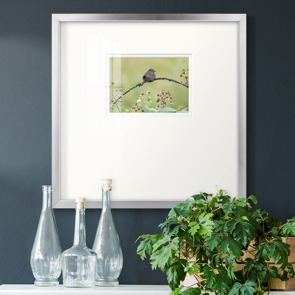 Resting Sparrow Premium Framed Print Double Matboard