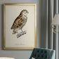 French Owls I - Modern Framed Canvas Print