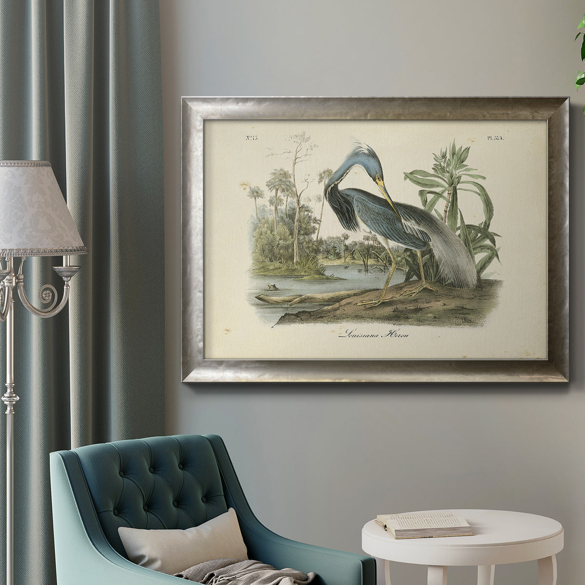 Audubons Louisiana Heron Premium Framed Canvas- Ready to Hang