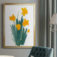 Daffodil Bunch II - Modern Framed Canvas Print