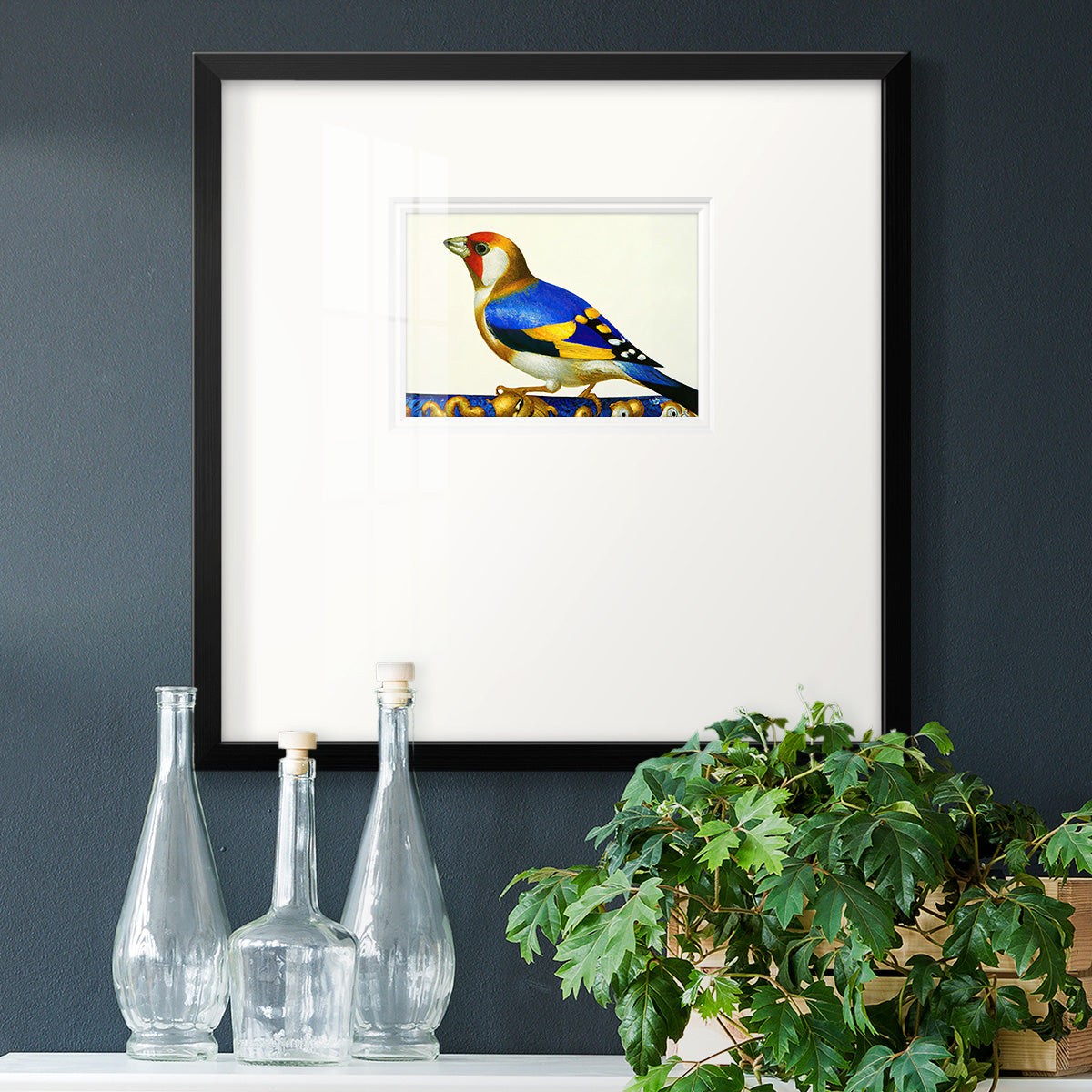 Blue Gold Finch Premium Framed Print Double Matboard