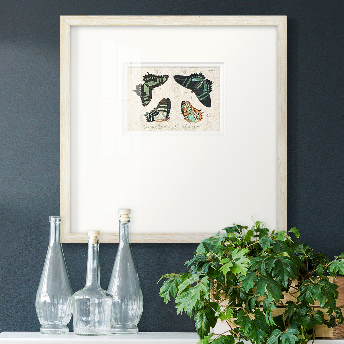 Crackled Butterflies III Premium Framed Print Double Matboard