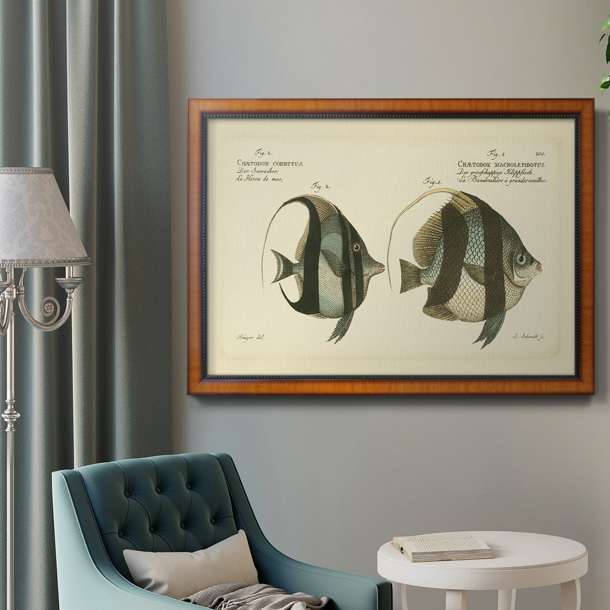 Bloch Antique Fish I Premium Framed Canvas- Ready to Hang