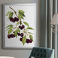 Watercolor Cherries - Modern Framed Canvas Print