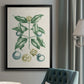Buchoz Tropicals VII - Modern Framed Canvas Print
