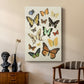 Collected Flutter I - Canvas Art Print