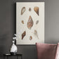 Knorr Shells & Coral IX - Canvas Art Print