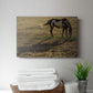 Long Shadow - Canvas Art Print