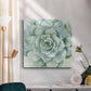 Verdant Succulent I-Premium Gallery Wrapped Canvas - Ready to Hang