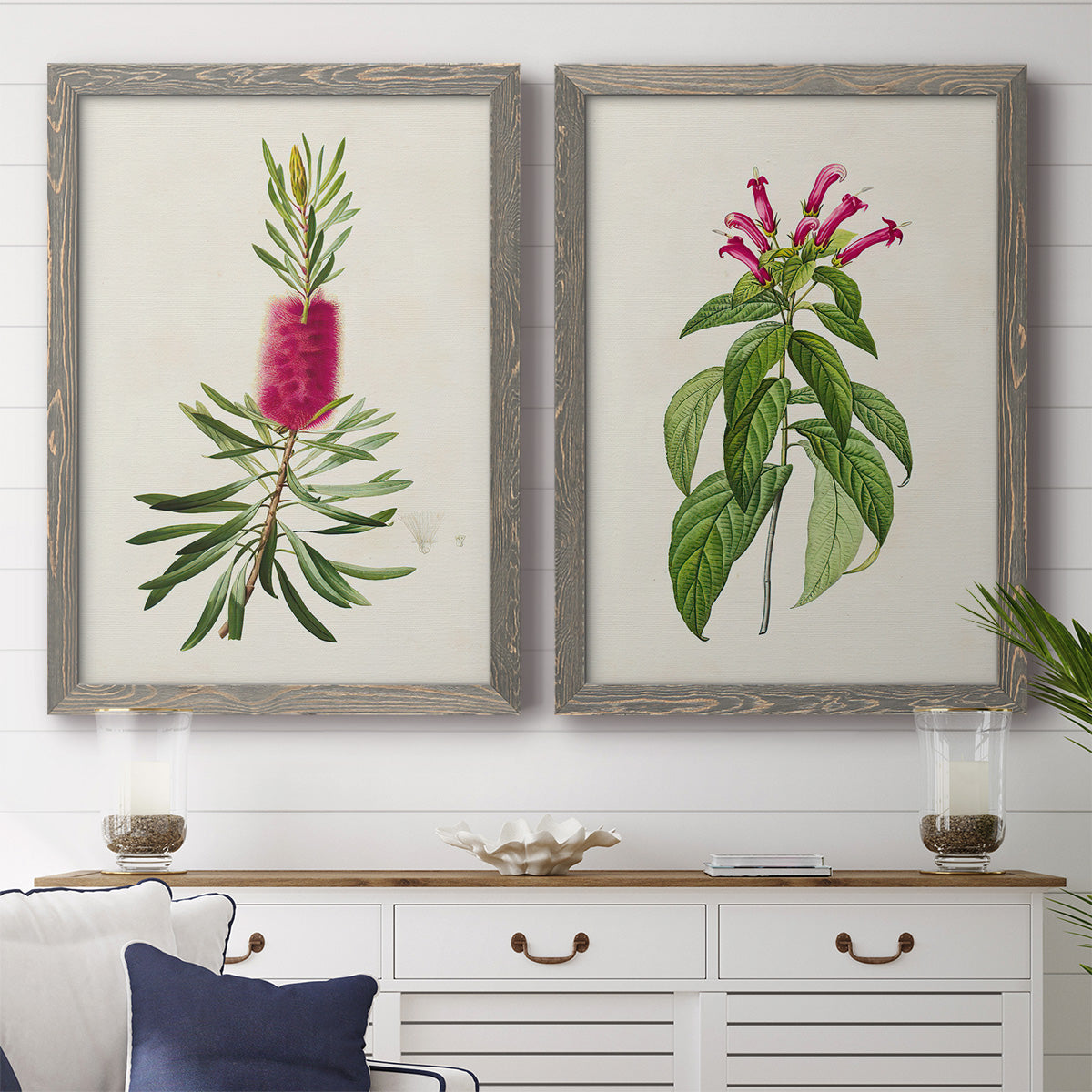 Set of two gray barnwood framed canvas prints depicting a coordinated art pair of pink flowering plant specimens rendered as vintage botanical plate illustrations above a dining room sideboard.
