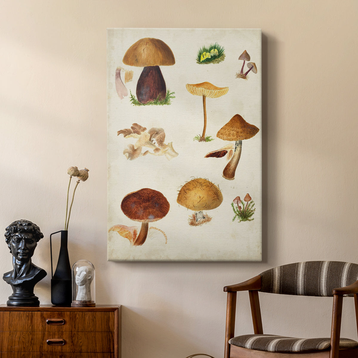 Mushroom Species II - Canvas Art Print