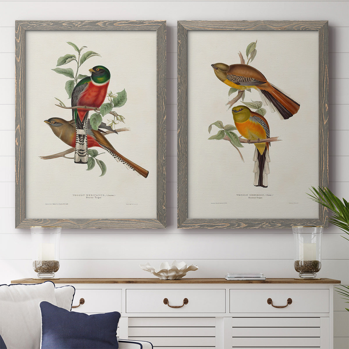 Elegant Trogons I - Premium Framed Canvas 2 Piece Set - Ready to Hang