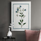 Shabby Chic Botanical II - Canvas Art Print