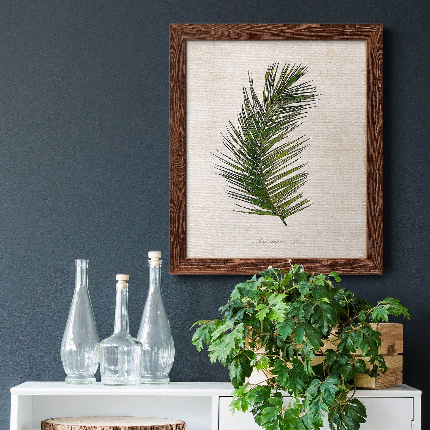 Palm Botanical II - Premium Canvas Framed in Barnwood - Ready to Hang