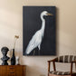 Calm Great Egret II - Canvas Art Print