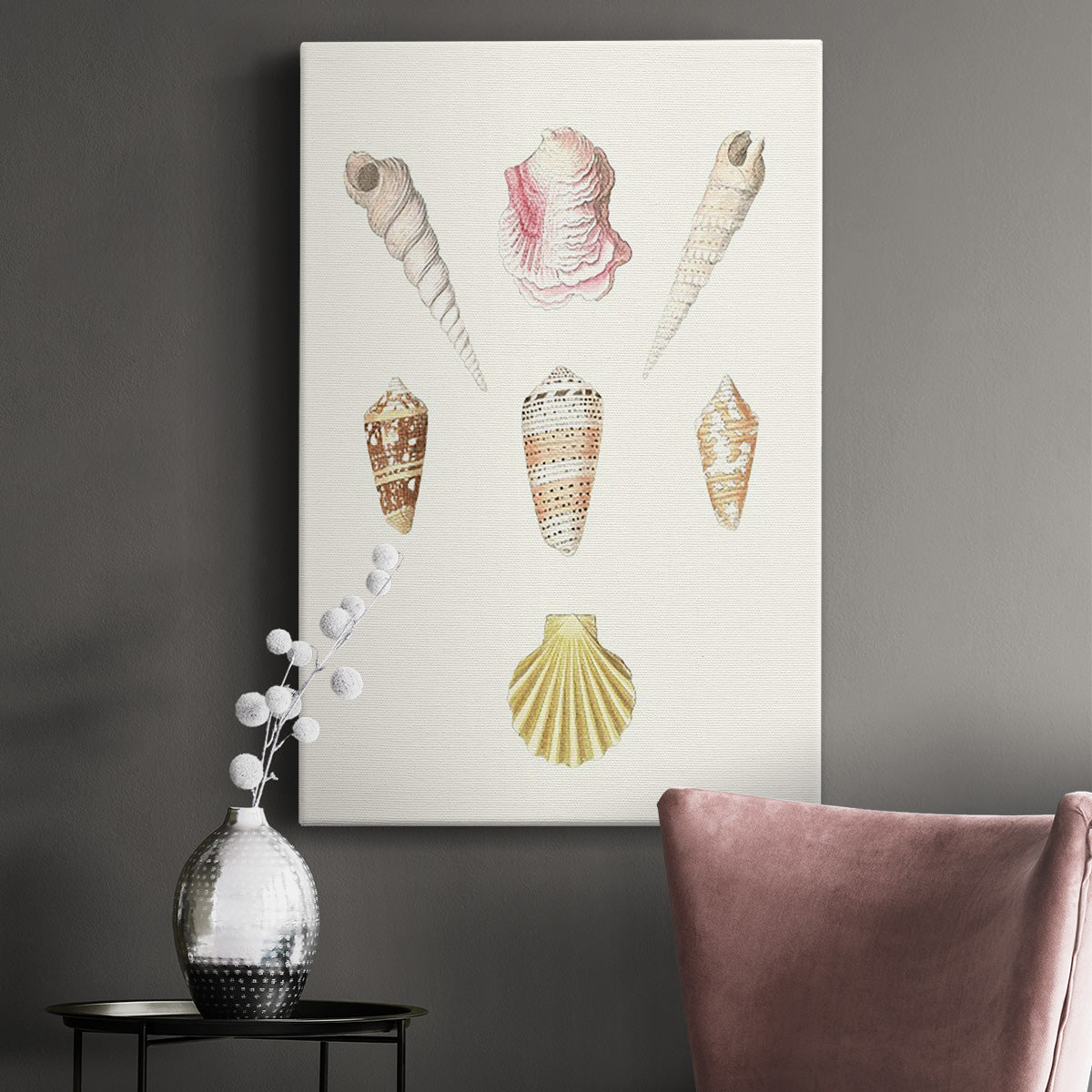 Pastel Knorr Shells I Premium Gallery Wrapped Canvas - Ready to Hang