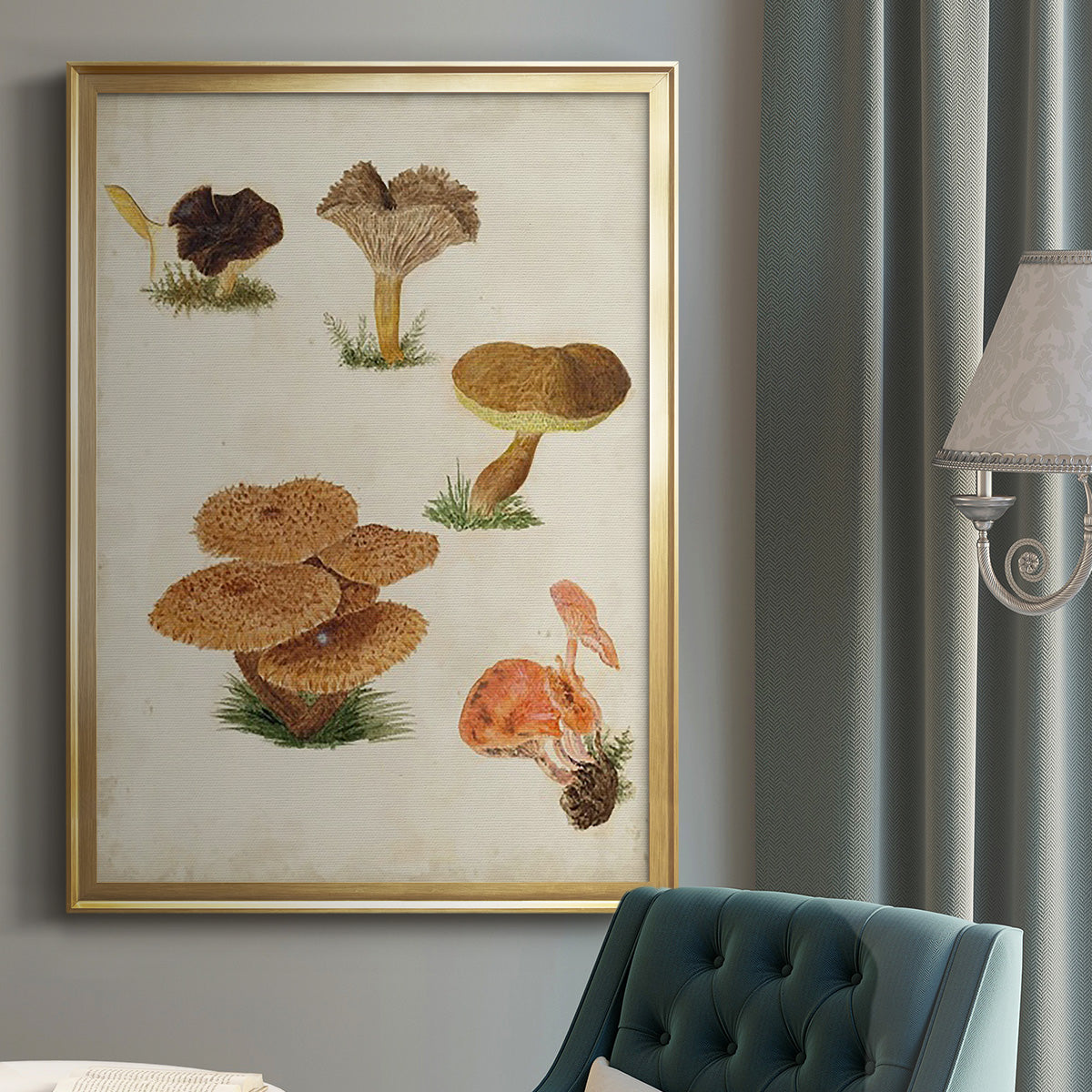 Mushroom Species V - Modern Framed Canvas Print