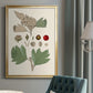 Leaves & Berries IV - Modern Framed Canvas Print