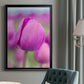 Magenta Stem - Modern Framed Canvas Print