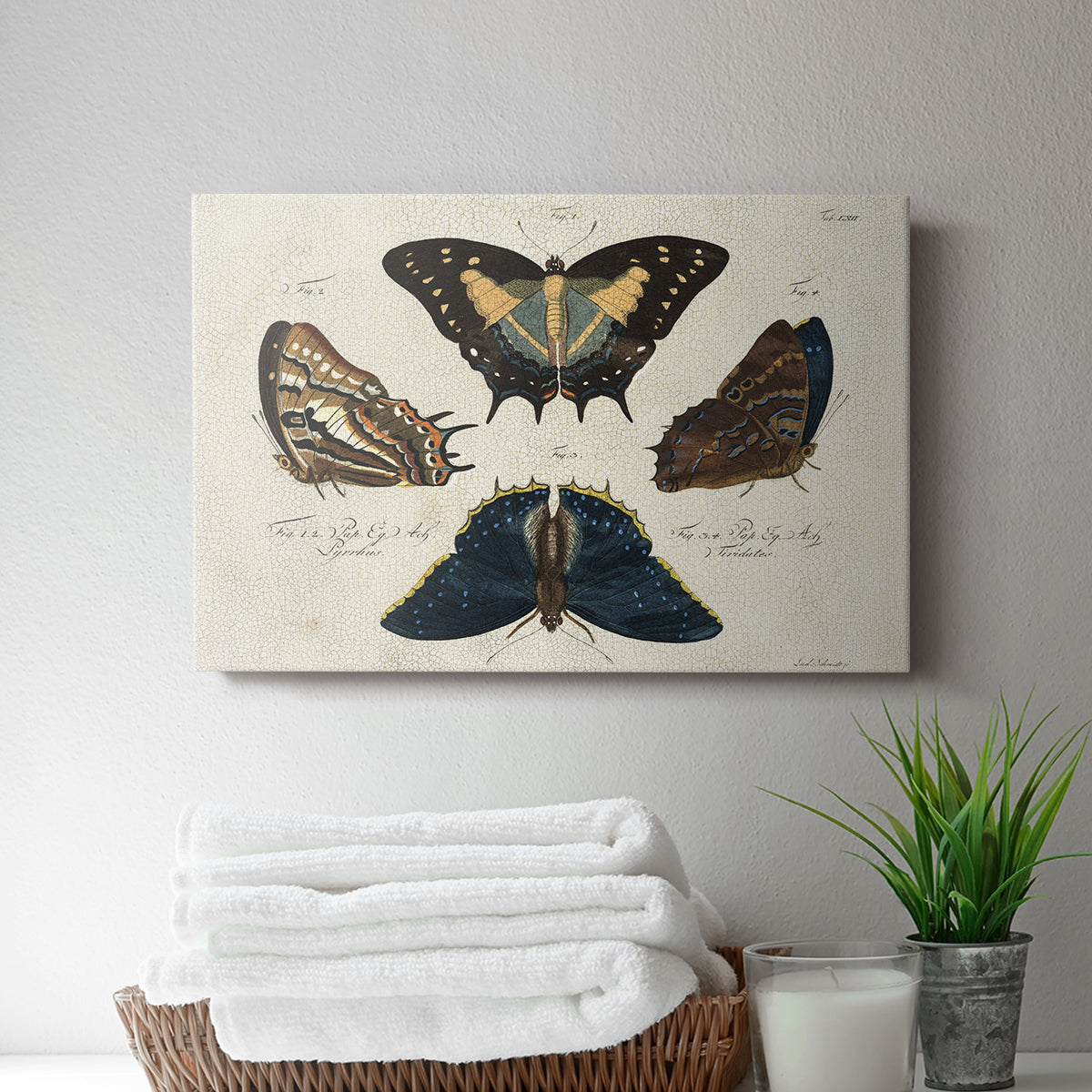 Crackled Butterflies IV - Canvas Art Print
