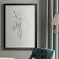 Neutral Iris Sketch II - Modern Framed Canvas Print