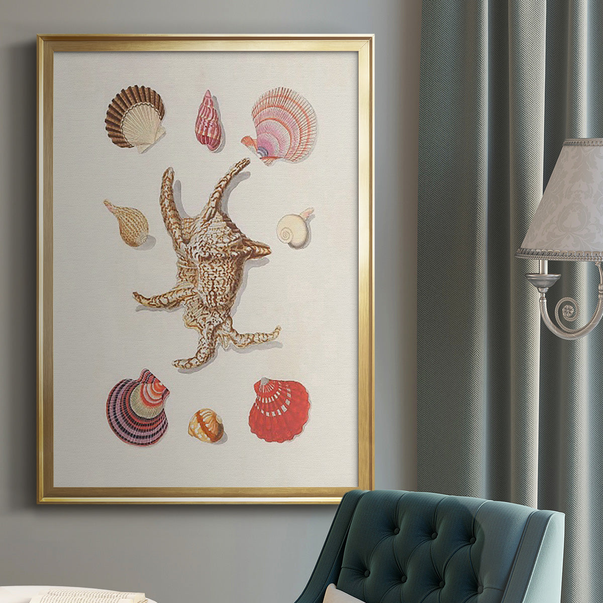 Knorr Shells & Coral II - Modern Framed Canvas Print