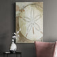 Dry Sand Dollar II Premium Gallery Wrapped Canvas - Ready to Hang