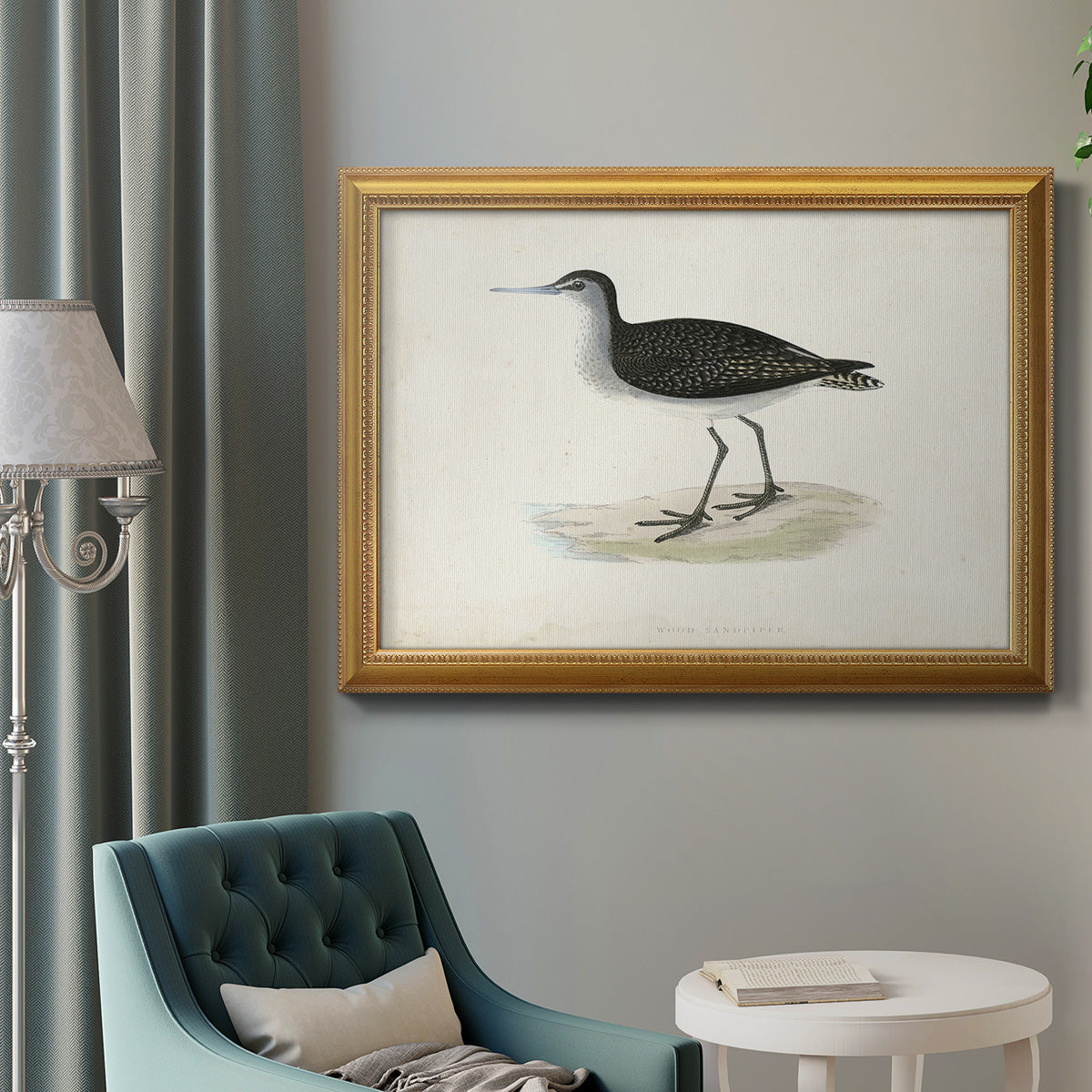 Morris Sandpipers VIII Premium Framed Canvas- Ready to Hang