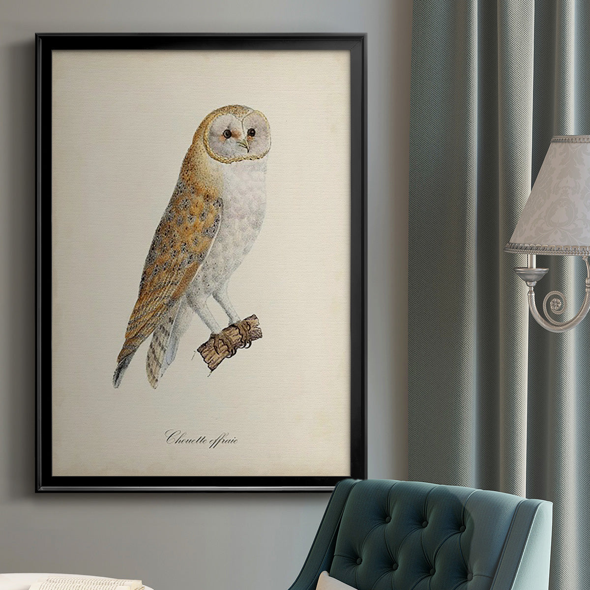 French Owls VI - Modern Framed Canvas Print