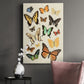 Collected Flutter I Premium Gallery Wrapped Canvas - Ready to Hang