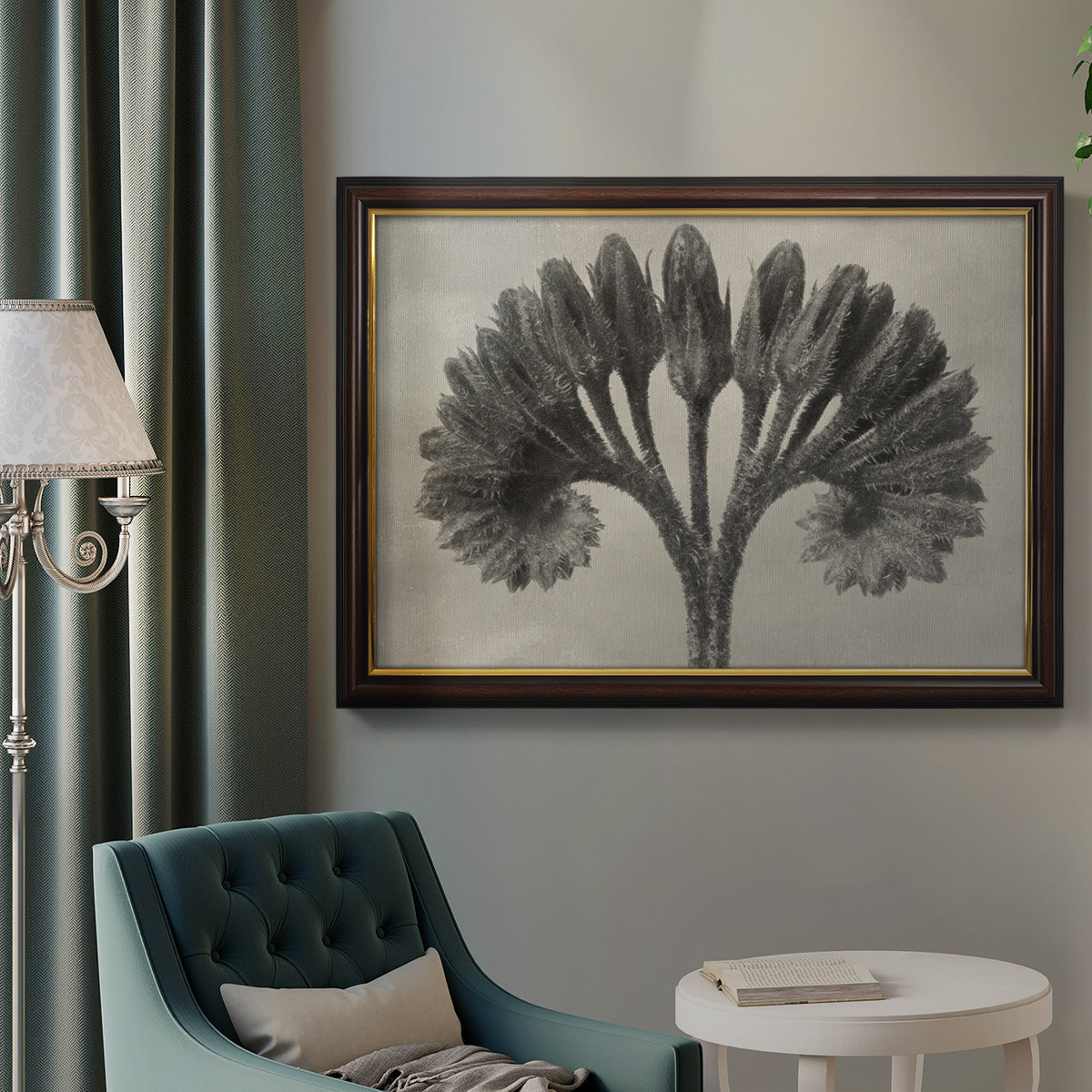 Vintage botanical plant study photograph by Karl Blossfeldt in an ornate mahogany wood frame with gold liner displayed in a neutral interior setting.