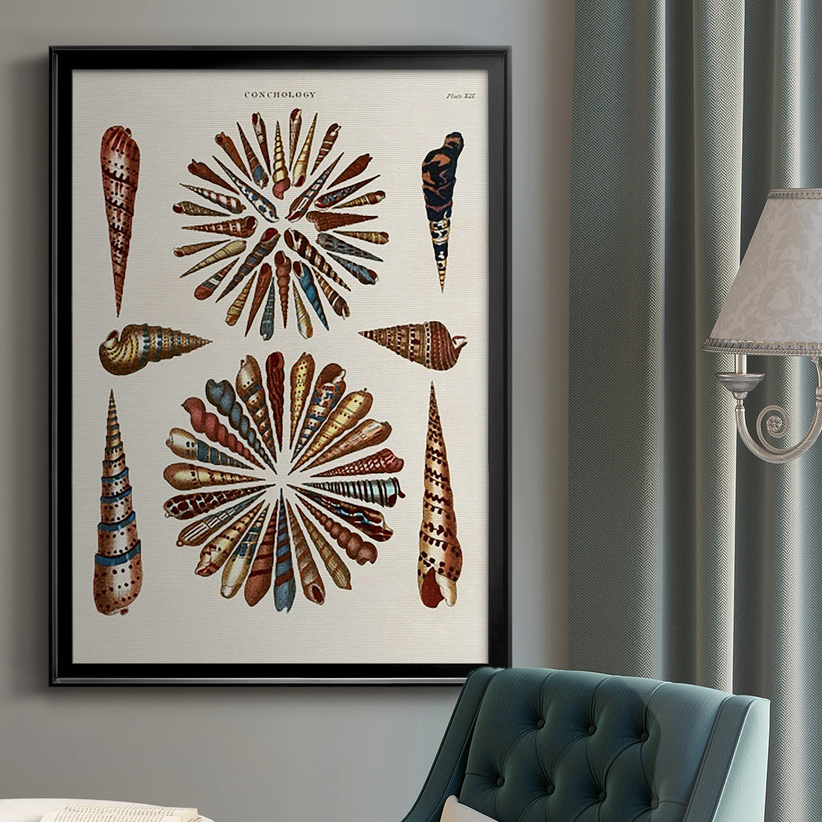 Spiral Shell Formation III - Modern Framed Canvas Print