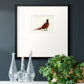 Pheasant Splash 4 Premium Framed Print Double Matboard