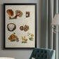 Mushroom Species I - Modern Framed Canvas Print