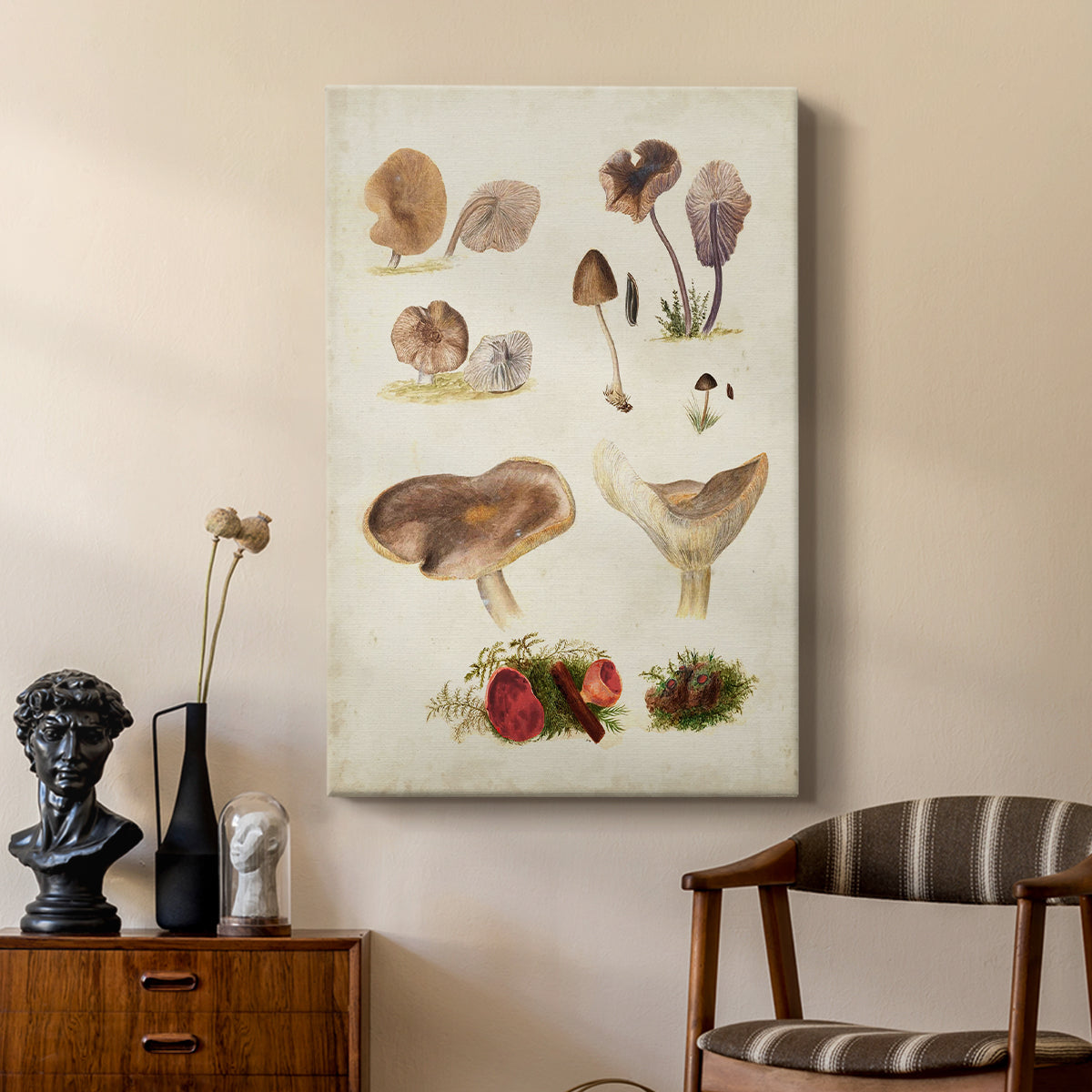 Mushroom Species III - Canvas Art Print