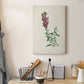 Traditional Botanical I Premium Gallery Wrapped Canvas - Ready to Hang