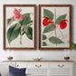 Flora of the Tropics I - Premium Framed Canvas 2 Piece Set - Ready to Hang