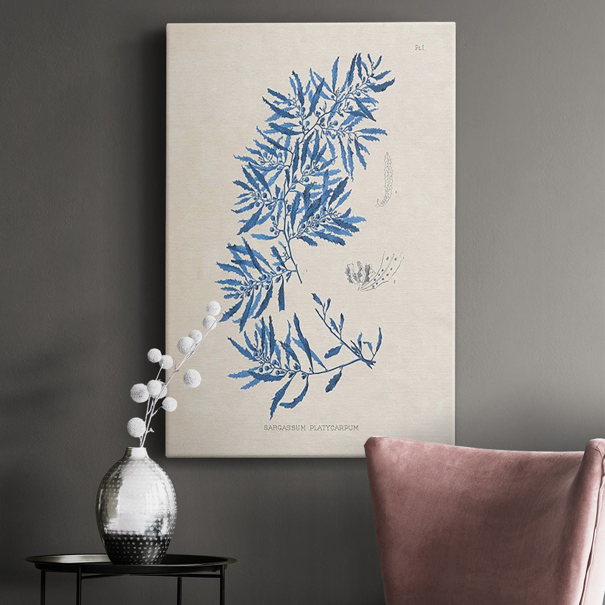 Blue Marine Algae III Premium Gallery Wrapped Canvas - Ready to Hang