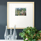 Arboretum in Spring Premium Framed Print Double Matboard