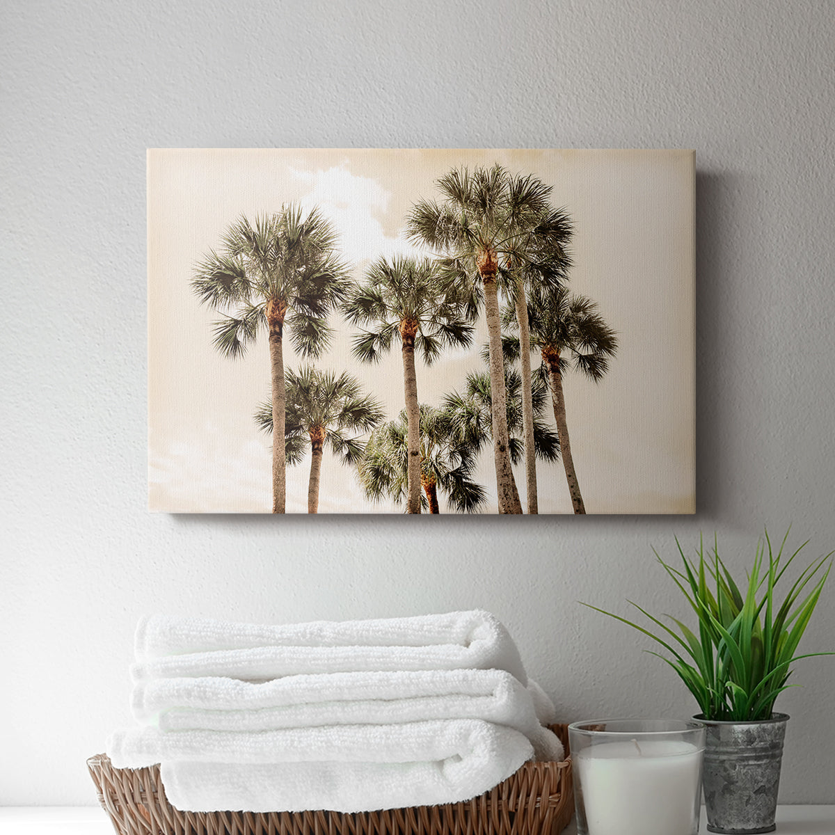 Blushing Palms - Canvas Art Print