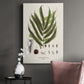 Botanical Society Ferns II Premium Gallery Wrapped Canvas - Ready to Hang