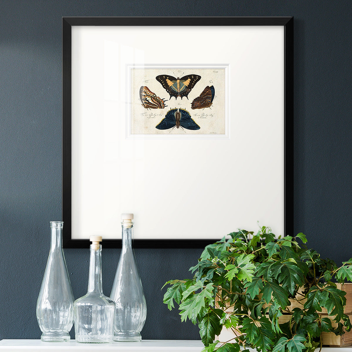 Crackled Butterflies IV Premium Framed Print Double Matboard