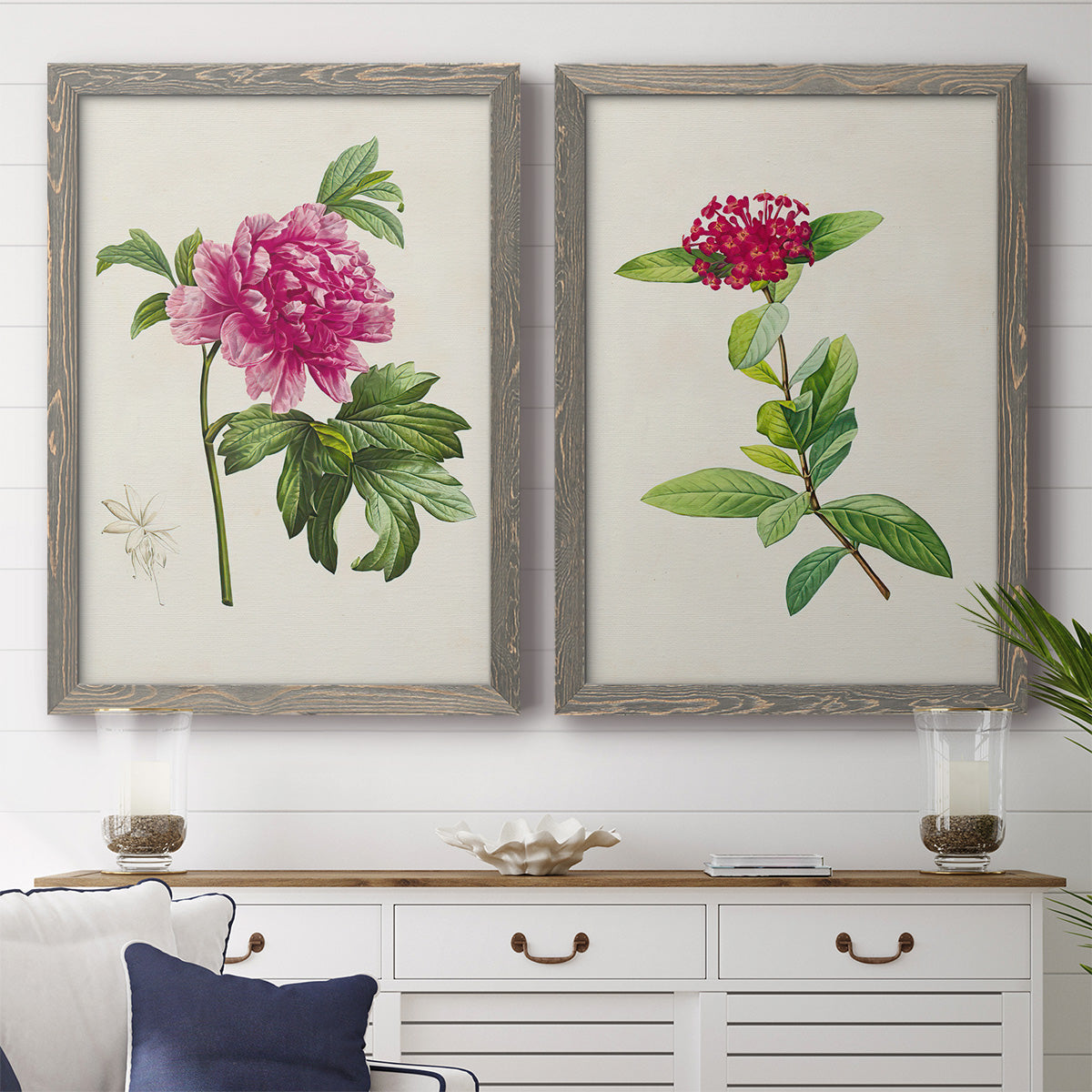 Set of two gray barnwood framed canvas prints depicting a coordinated art pair of pink flowering plant specimens rendered as vintage botanical plate illustrations above a dining room sideboard.