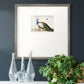 Standing Peacock Premium Framed Print Double Matboard